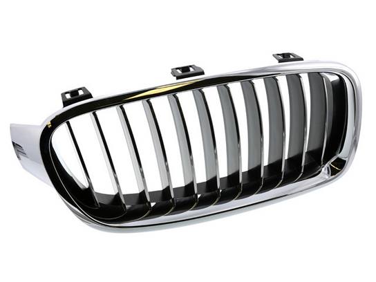 BMW Kidney Grille - Passenger Side (Luxury Line) 51137263482